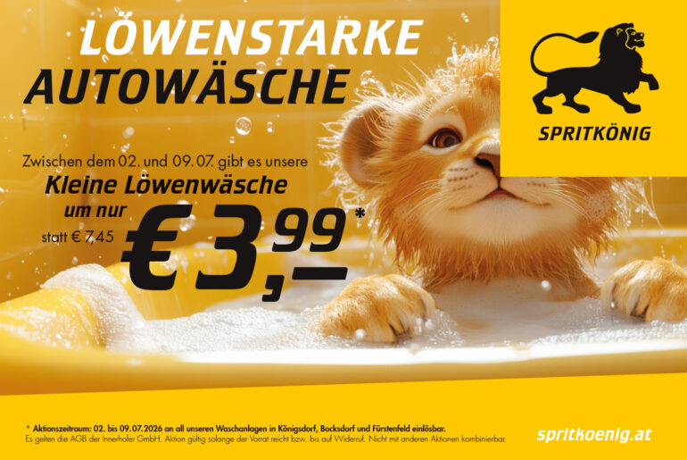 Spritkönig Waschaktion
